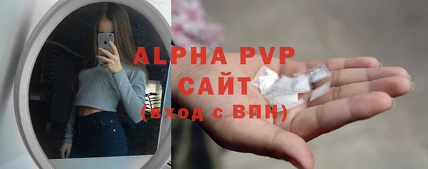 PSILOCYBIN Вяземский