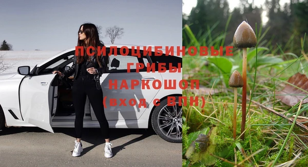 спиды Волоколамск