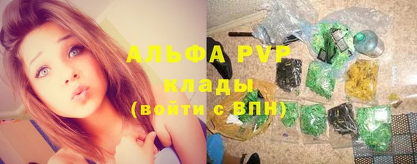 спиды Волоколамск