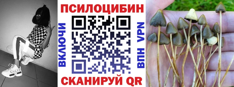 Псилоцибиновые грибы MAGIC MUSHROOMS  Избербаш 
